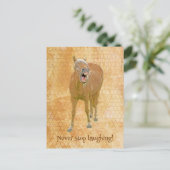 Hübsches lachendes Pferd, Brauch Postkarte (Stehend Vorderseite)