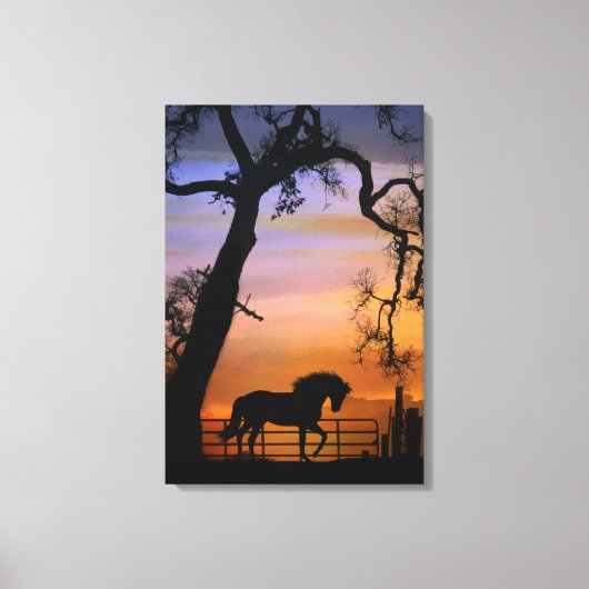 Hübsches Landpferd im Südwesten des Sonnenaufgangs Leinwanddruck (Vorderseite)