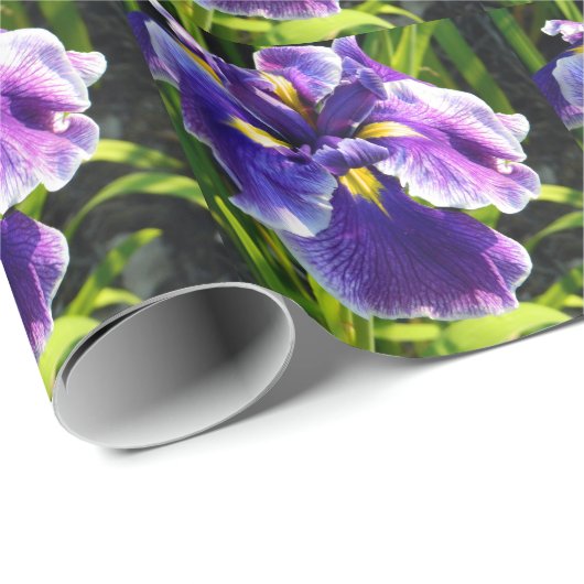 Hübsches lila Iris-Verpackungs-Papier Geschenkpapier (Rolleneckpunkt)