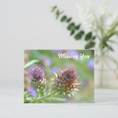 Hübsches Lila Thistle Garden Blume Foto Postkarte (Stehend Vorderseite)