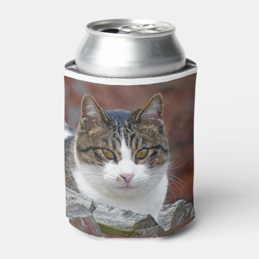 Hübsches Mädchen Dosenkühler (Kanne Vorderseite)