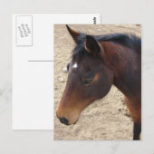 Hübsches Mädchen Postkarte (Vorne/Hinten)
