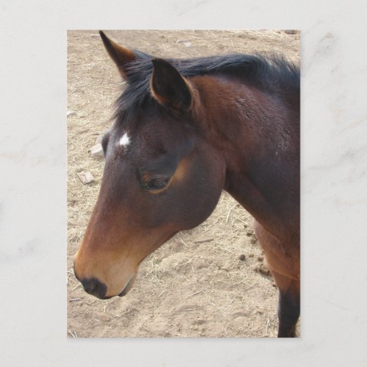 Hübsches Mädchen Postkarte (Vorderseite)