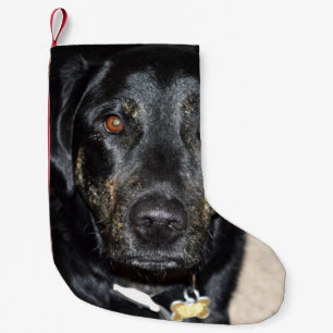 Hübsches Mädchen-Spritzen Kleiner Weihnachtsstrumpf