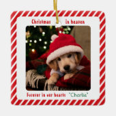 Hübsches modernes Andenken an Haustiere zum Gedenk Keramikornament (Vorderseite)