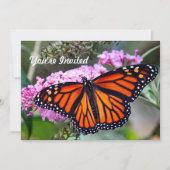 Hübsches Monarch Butterfly Foto Geburtstag Einladung (Vorderseite)