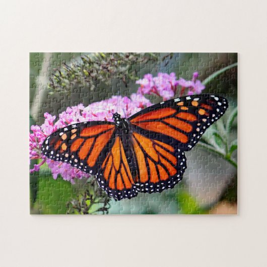 Hübsches Monarch Butterfly-Foto Puzzle (Horizontal)