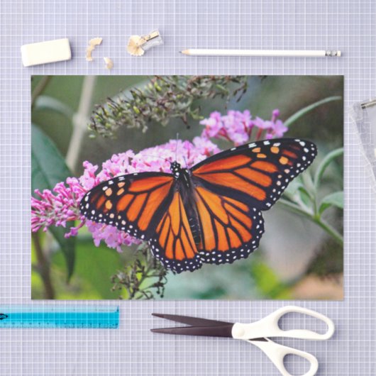 Hübsches Monarch Butterfly-Foto Seidenpapier (Handwerk)