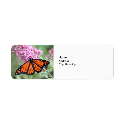 Hübsches Monarch Butterfly Rosa Foto (Vorne)