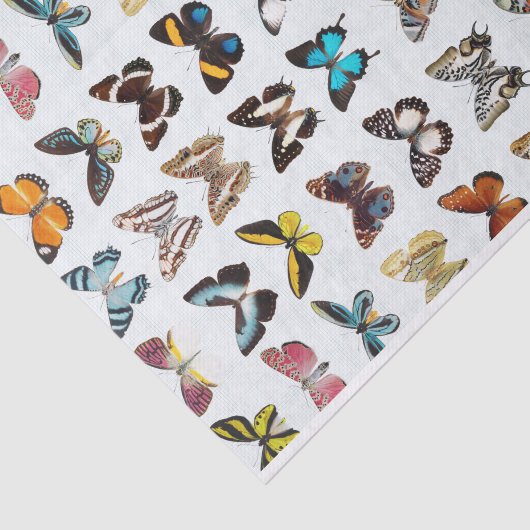 Hübsches Muster der Schmetterlinge Seidenpapier (Ausschnitt)