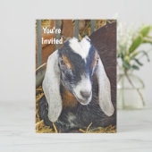Hübsches Nubian Goat Foto Geburtstag Einladung (Stehend Vorderseite)