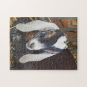 Hübsches Nubian Goat Foto Puzzle (Horizontal)