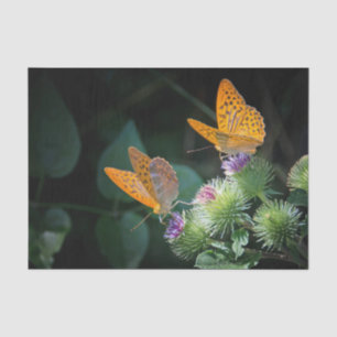 Hübsches Orange Butterfly Floral Foto Seidenpapier