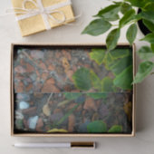 Hübsches Orange Hibiskus Blumenkraut Foto Seidenpapier (Geschenk)