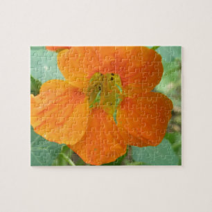 Hübsches Orange Nasturtium Blume Puzzle