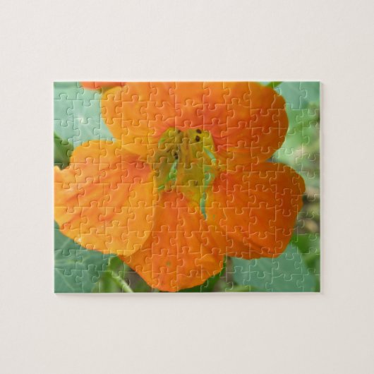 Hübsches Orange Nasturtium Blume Puzzle (Horizontal)