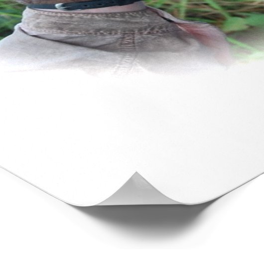 Hübsches Orangutan-Poster Poster (Ecke)