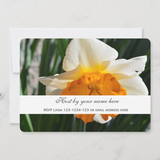 hübsches Party aus gelber, weißer Daffodilatine Bl Einladung (Rückseite)
