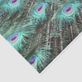 Hübsches Peacock Feathers Foto Seidenpapier (Ausschnitt)