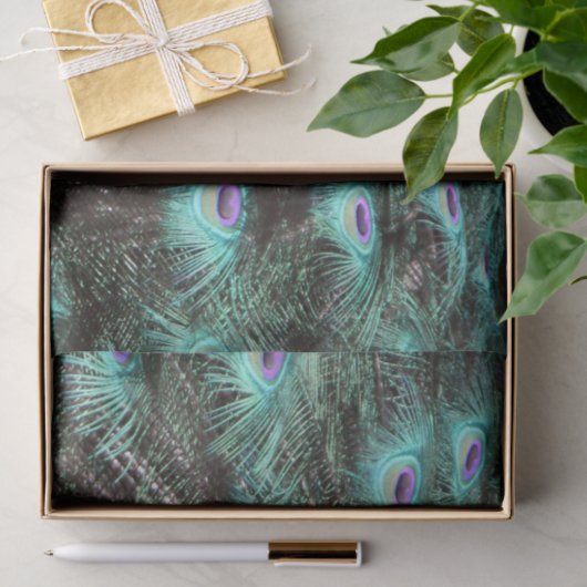 Hübsches Peacock Feathers Foto Seidenpapier (Geschenk)