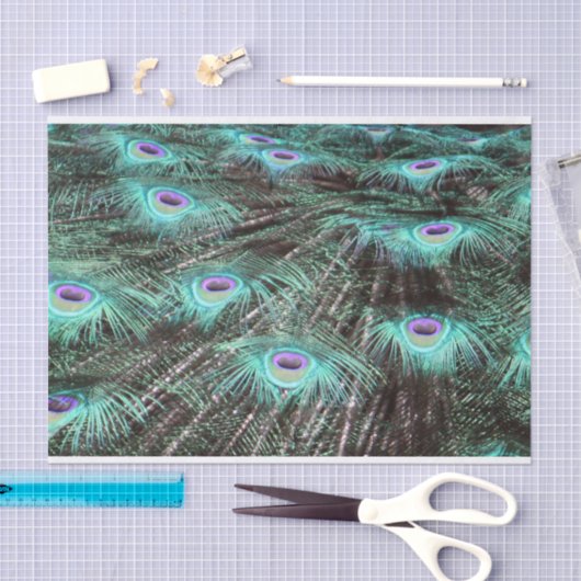 Hübsches Peacock Feathers Foto Seidenpapier (Handwerk)