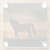 Hübsches Pferd im Sonnenuntergang Untersetzer (Rückseite)