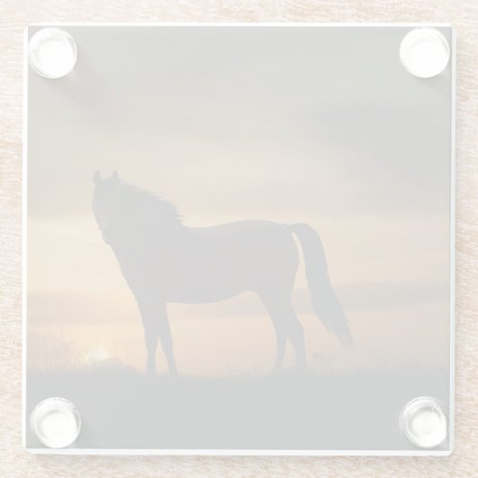 Hübsches Pferd im Sonnenuntergang Untersetzer (Rückseite)