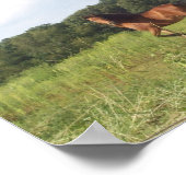 Hübsches Pferd in Feldposter Poster (Ecke)