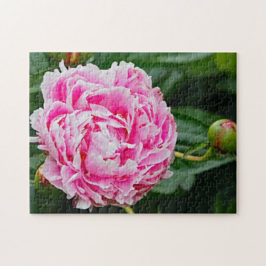 Hübsches Pink Peony Floral Foto Puzzle (Horizontal)