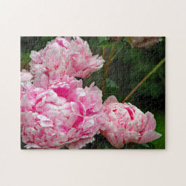 Hübsches Pink Peonys Foto Puzzle