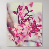 Hübsches Pink Tree Blossom Foto Poster (Vorne)