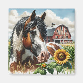 Hübsches Pinto Brown und Weißpferd auf rustikaler Magnet (Vorne)