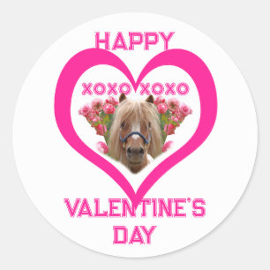 Hübsches Pony in Rosa Valentinstag für Kinder Runder Aufkleber