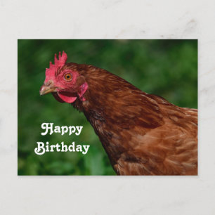 Hübsches Red Chicken Face Foto Geburtstag Postkarte