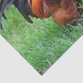 Hübsches Red Chicken Profile Foto Seidenpapier (Ausschnitt)