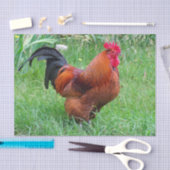 Hübsches Red Chicken Profile Foto Seidenpapier (Handwerk)