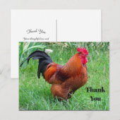 Hübsches Red Chicken Profile Foto Vielen Dank Postkarte (Vorne/Hinten)