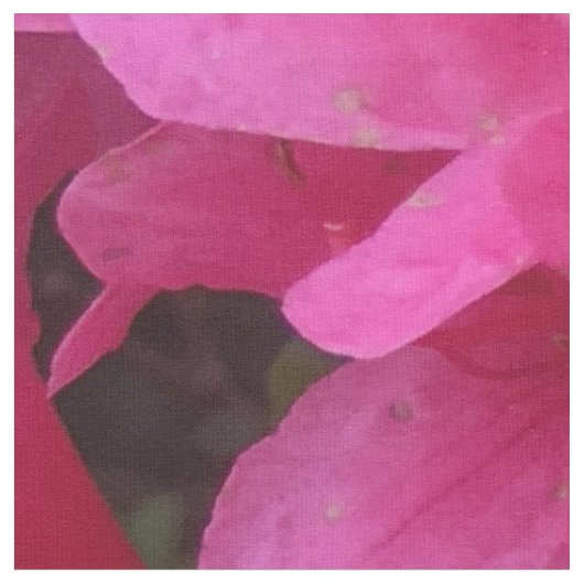 Hübsches rosa Blumengewebe Stoff (Nahaufnahme)