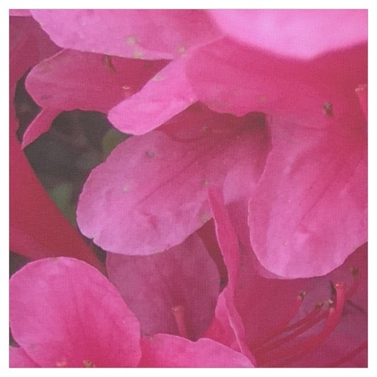 Hübsches rosa Blumengewebe Stoff (Muster)