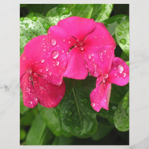Hübsches rosa Frühlingsblumen Scrapbooking Papier
