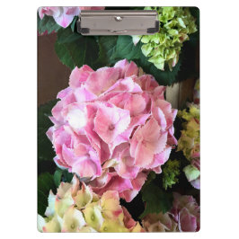 Hübsches rosa Hygrangea Klemmbrett