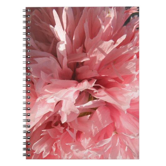 Hübsches rosa MohnNotebook Notizblock (Vorderseite)