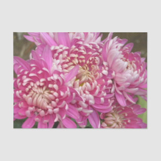 Hübsches rosa Seidenpapier