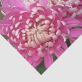 Hübsches rosa Seidenpapier (Ausschnitt)