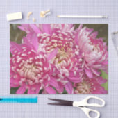 Hübsches rosa Seidenpapier (Handwerk)