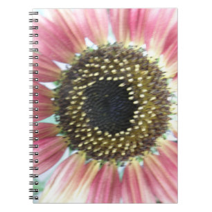 Hübsches rosa SonnenblumenNotebook Notizblock