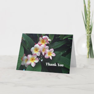 Hübsches Rosa und Gelbe Plumeria Blumenkohl Foto Dankeskarte