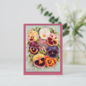 Hübsches Rosa und Lila Stiefmütterchen Vintage Kun Postkarte (Stehend Vorderseite)