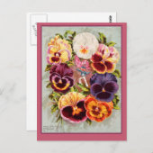 Hübsches Rosa und Lila Stiefmütterchen Vintage Kun Postkarte (Vorne/Hinten)