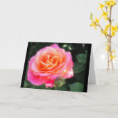 Hübsches Rosa- und Orange-Rose-Macro-Foto Karte (Gelbe Blume)